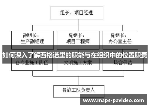 如何深入了解西格诺里的职能与在组织中的位置职责